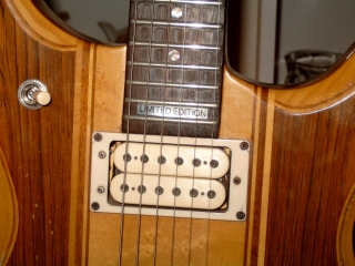 ibanez2.jpg