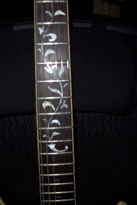 ibanez cn 250