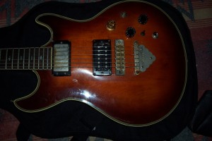 ibanez cn 250