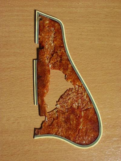 pickguard