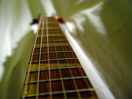 guitar detail4