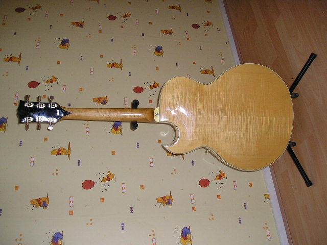 guitarback