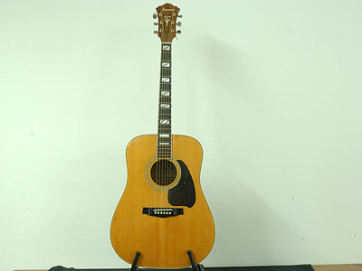 ibanez acoustic