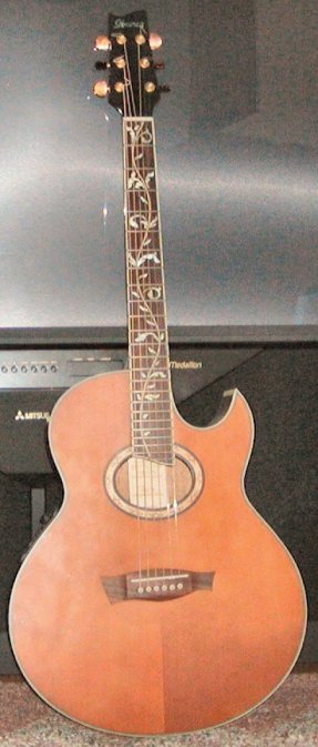Ibanez Collectors World New ep9
