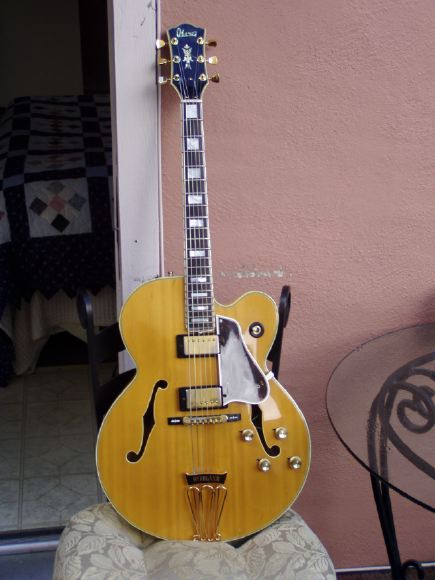 My Byrdland