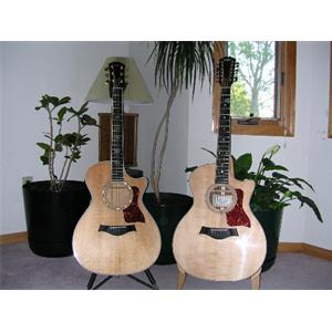 taylor guitars