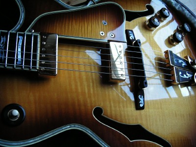 GB100_Guitar_probpic1