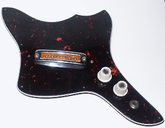 pickguard