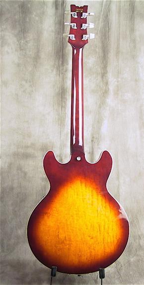 guitarback