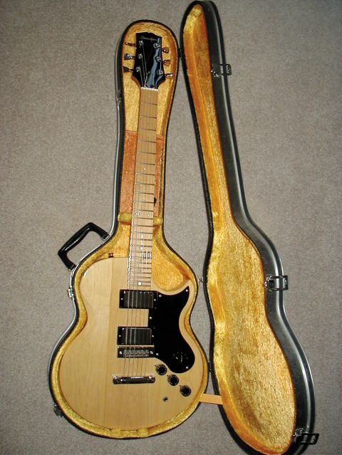 overall pic of guitar